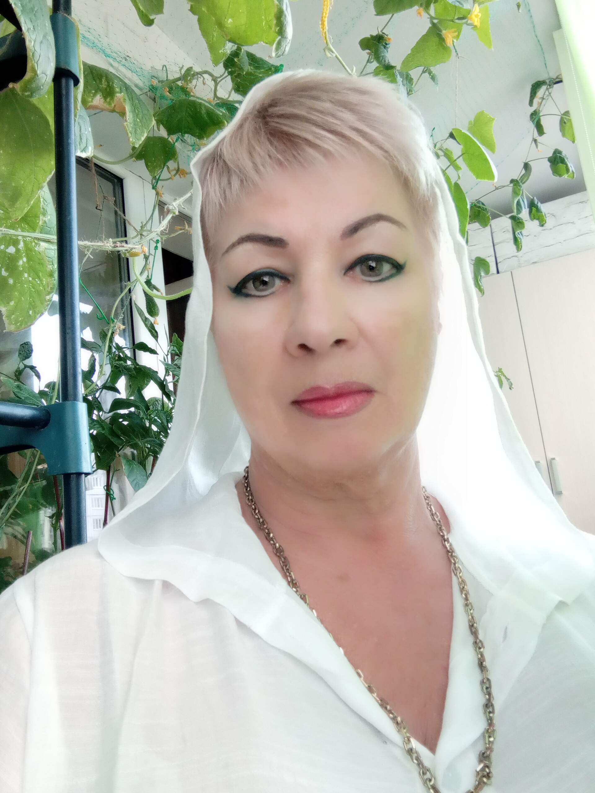 �������� ������ ����������