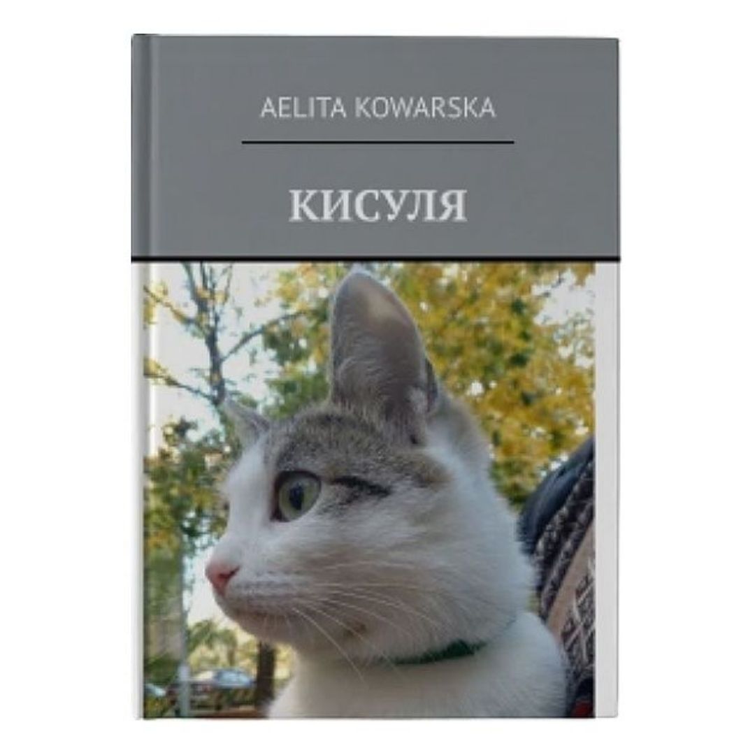 ������ ���������