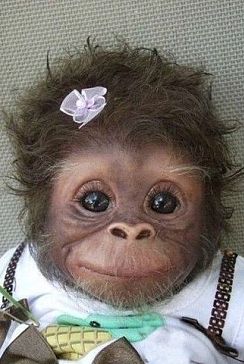 ����� ���� 2