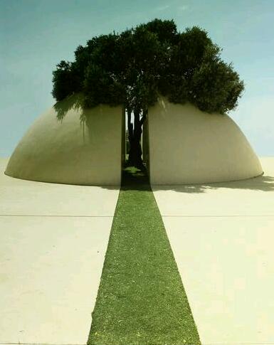 ���� �����������