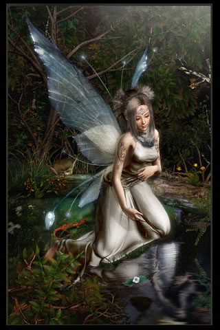 ���� ���������