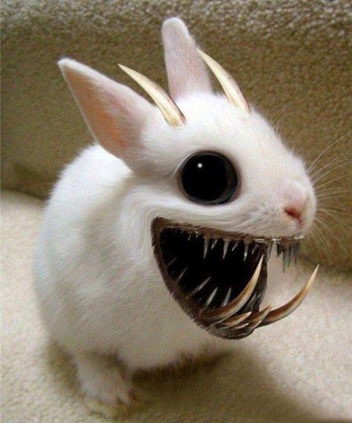 ���������� ����