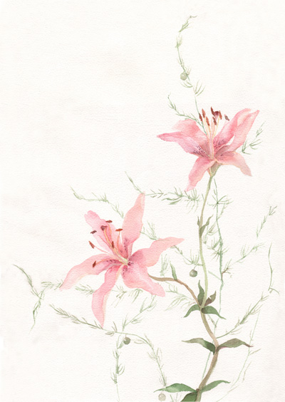 ����� ���