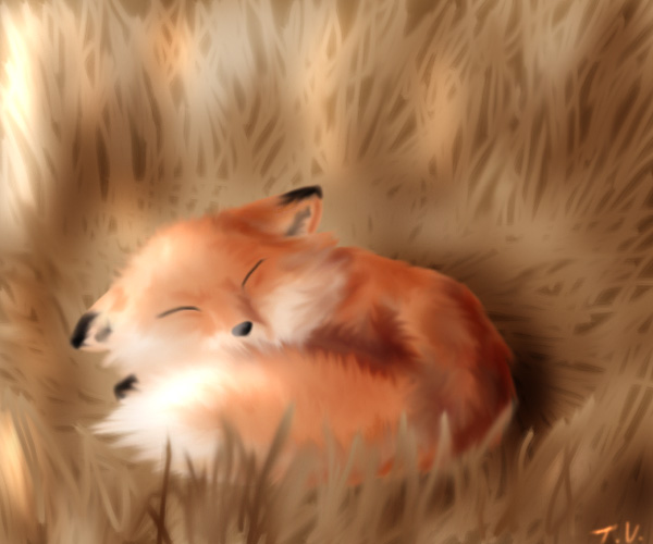 ����� ������� 2