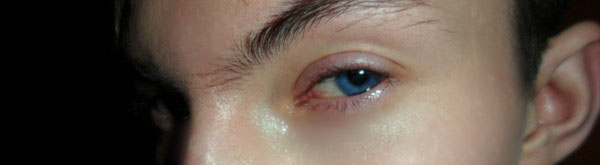 ���� ���������