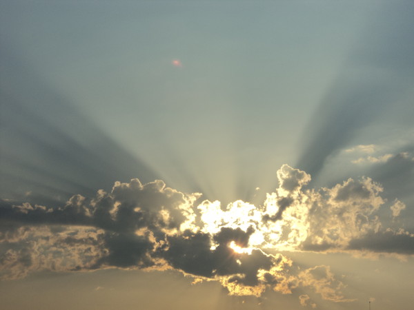 ������ ��������