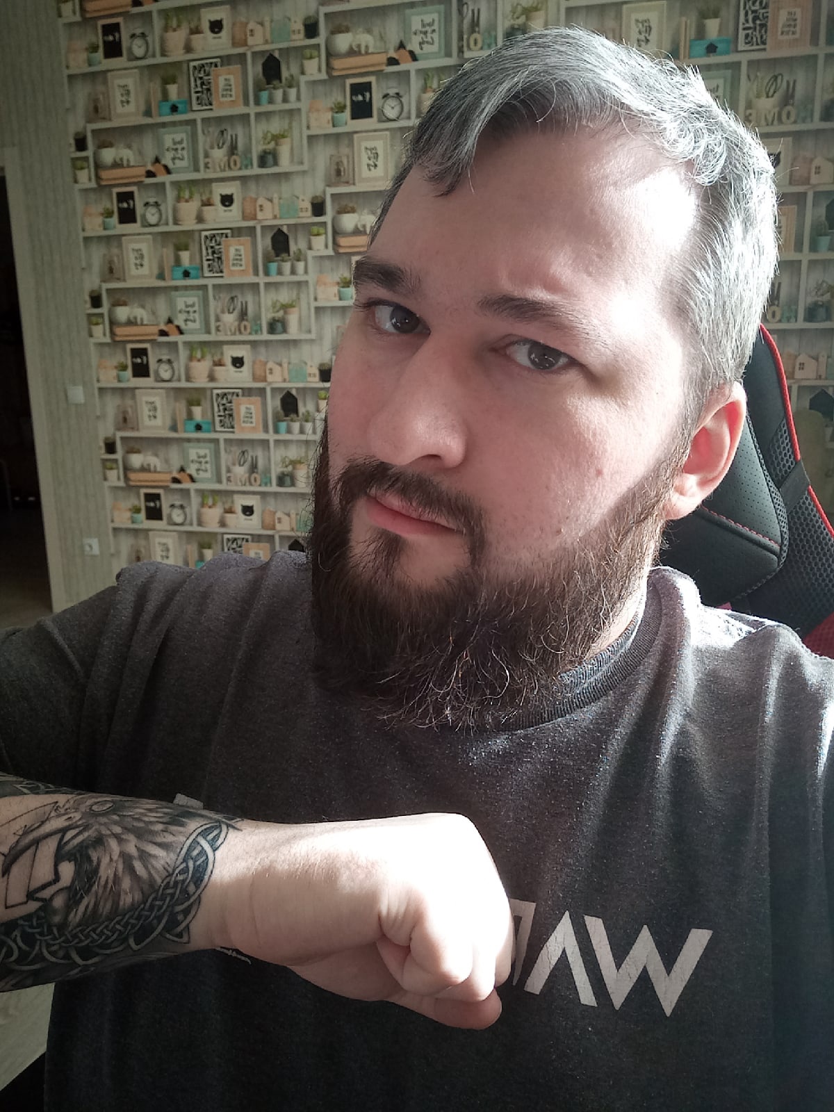 ������ ����