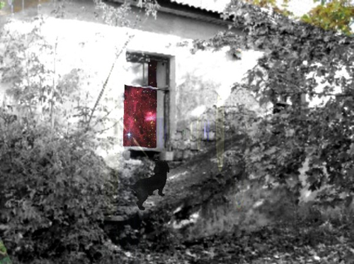 Анна Шемахова