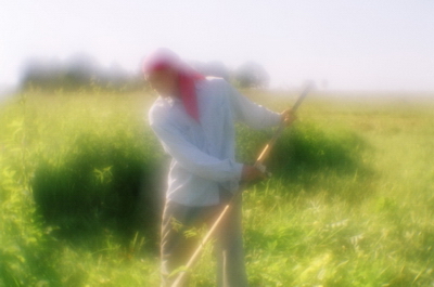 �������� �������