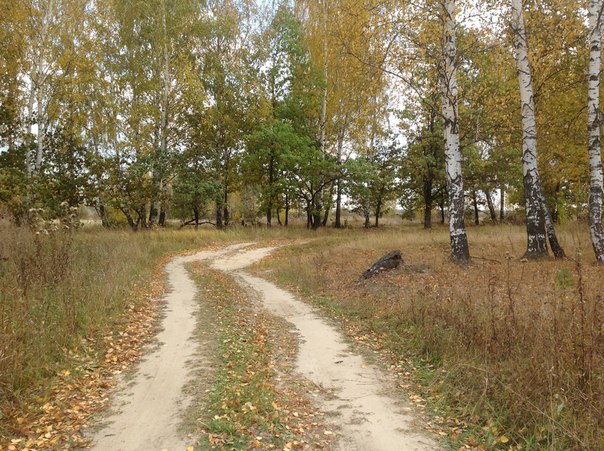 ������ ���