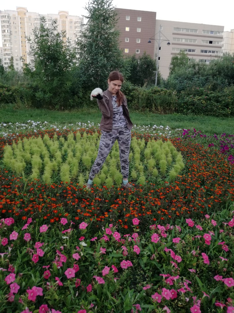 ������ �������� ���������