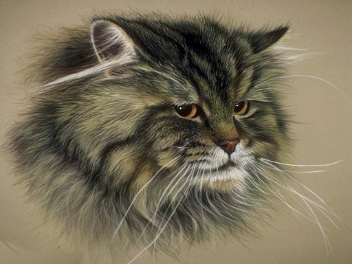 Ը��� ������