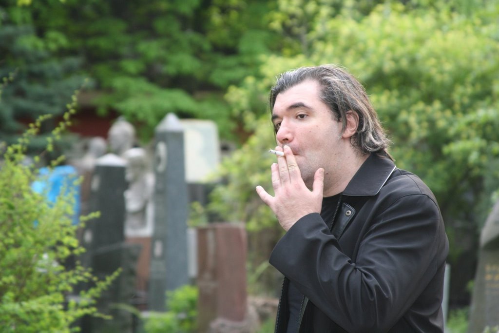 ������ ��������