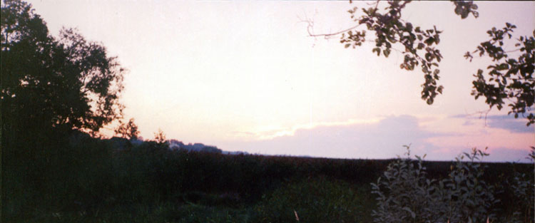 Фёдор Авдеев