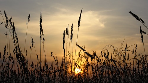 Анатоль Залогин