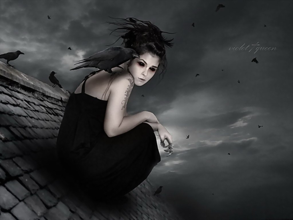 ���� ����������