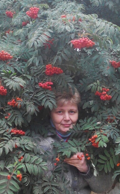 �������� 50