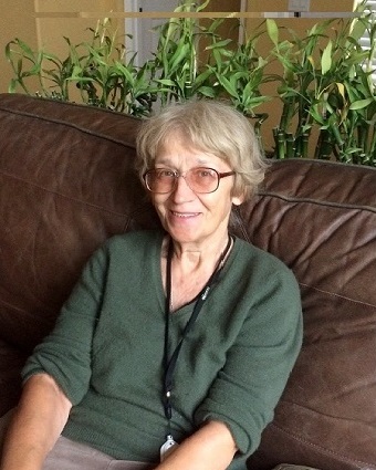 ������ �������