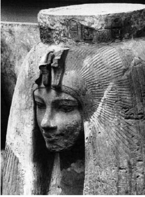 ������ ���������