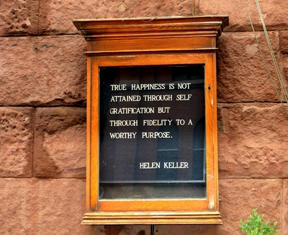 ���� ���������