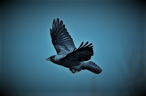 ����� ������