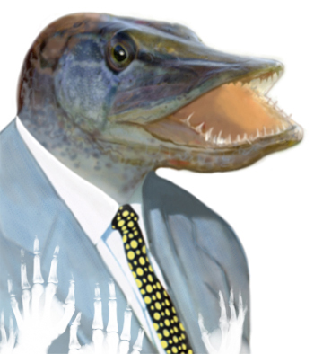 ��� ������