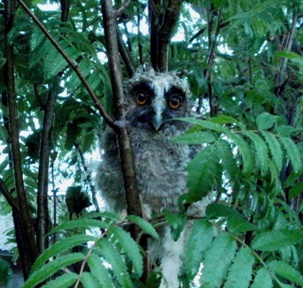 ������� ������� 3