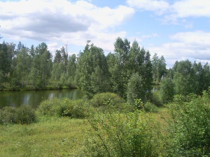 ������� ��������