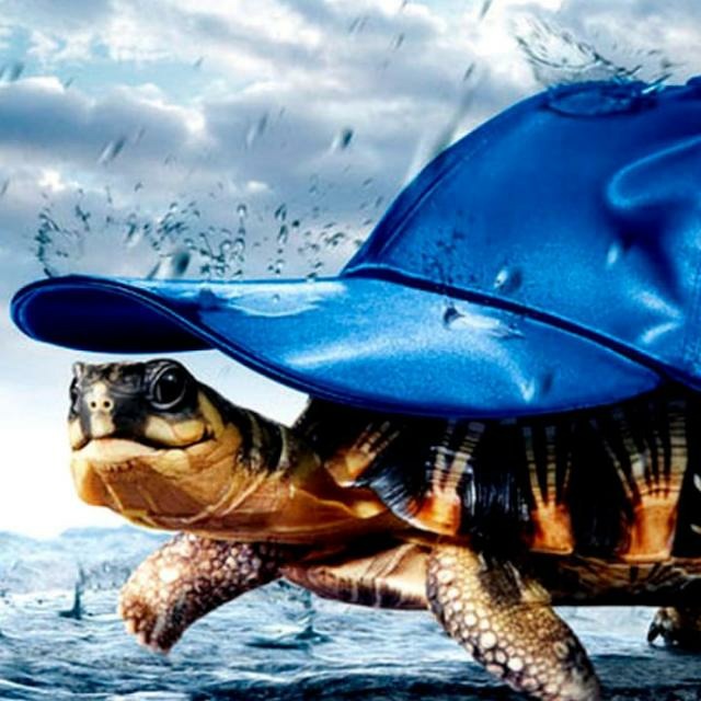 ��� �����