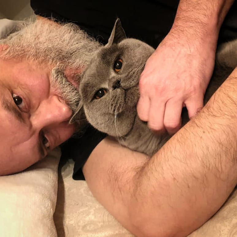 ���� ������������� ��������