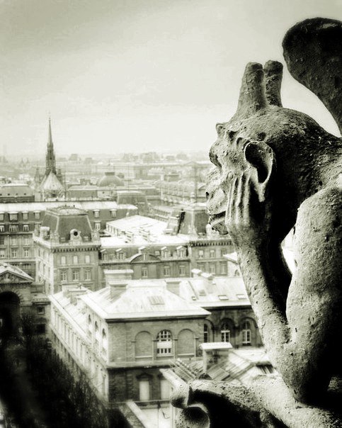 ��� �������