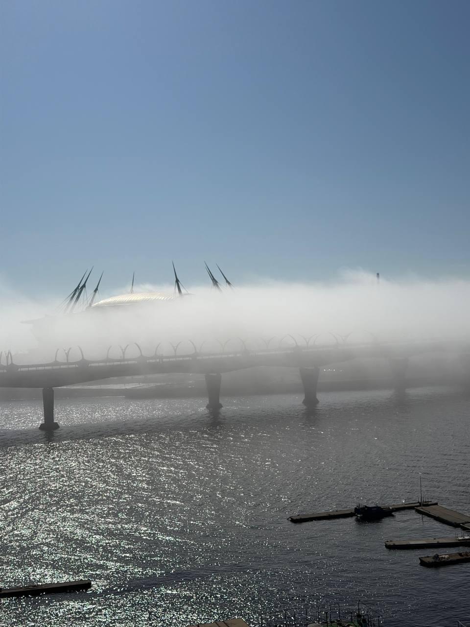 Светлана Герман
