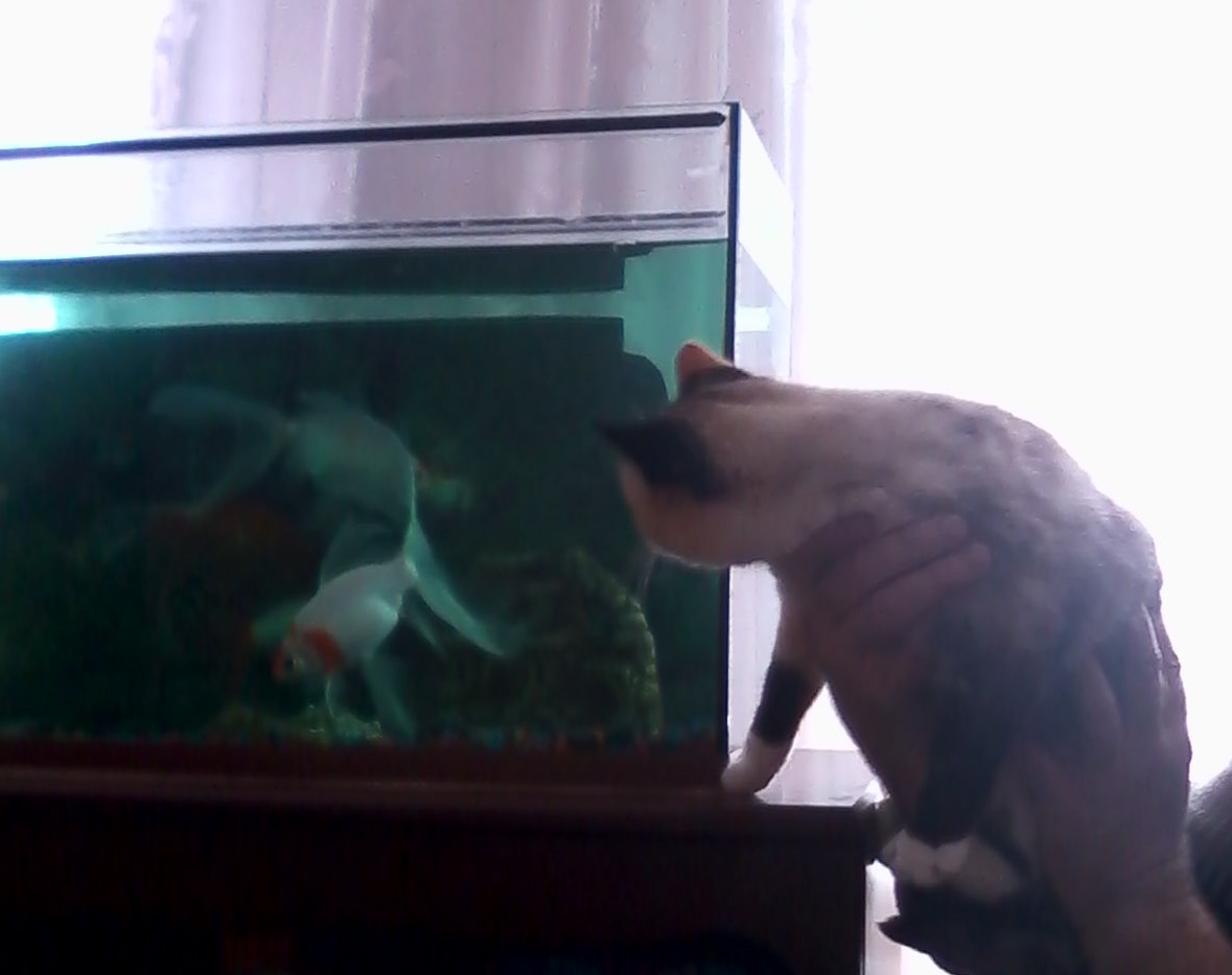 Герман Устинов