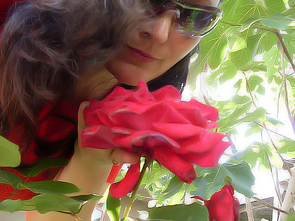 ����� �����-��������