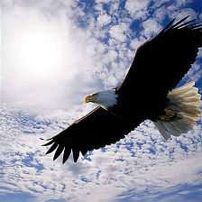 ������� ����������