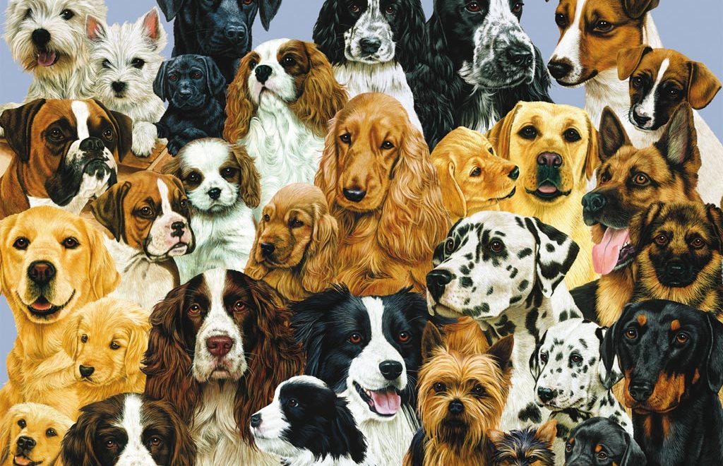 �������� ��������