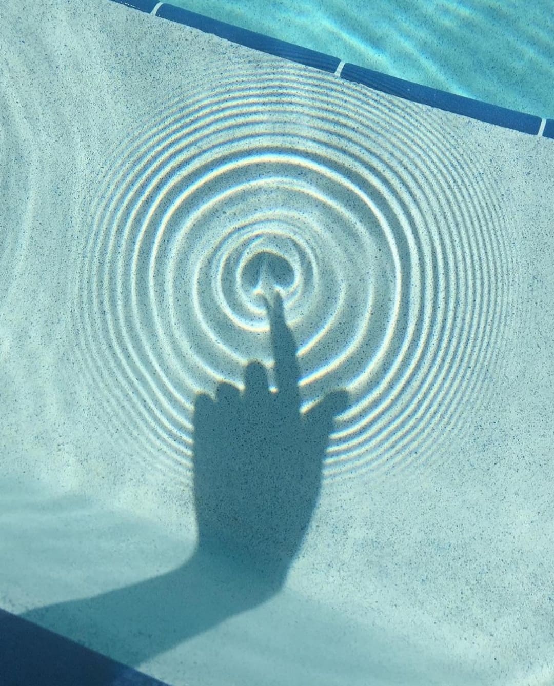 ��� ��������