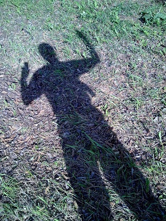 ������ �������