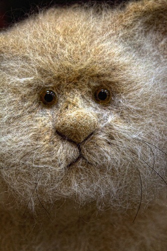 ���� �������