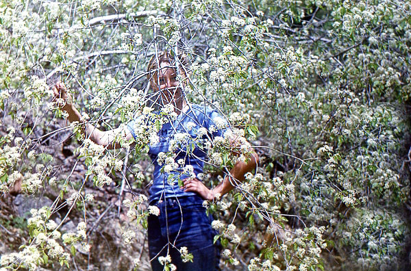 ������ ��������