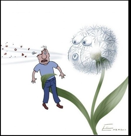 ���� ��������