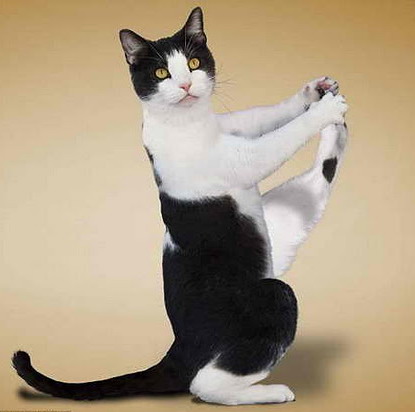 ���������� ������