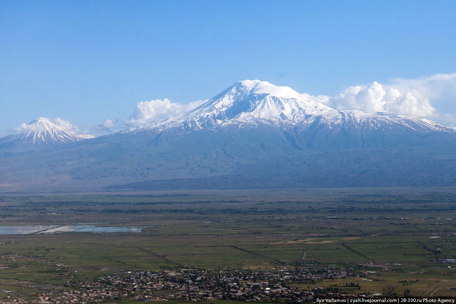 ���� ������