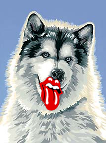 ����� �������������