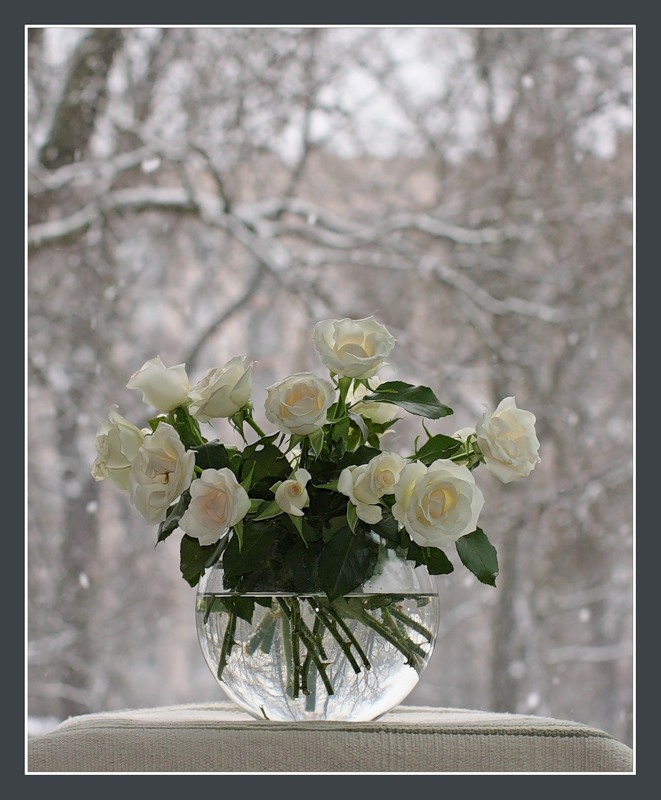 ���������� �����