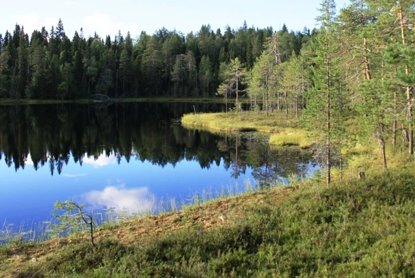 ������ �����