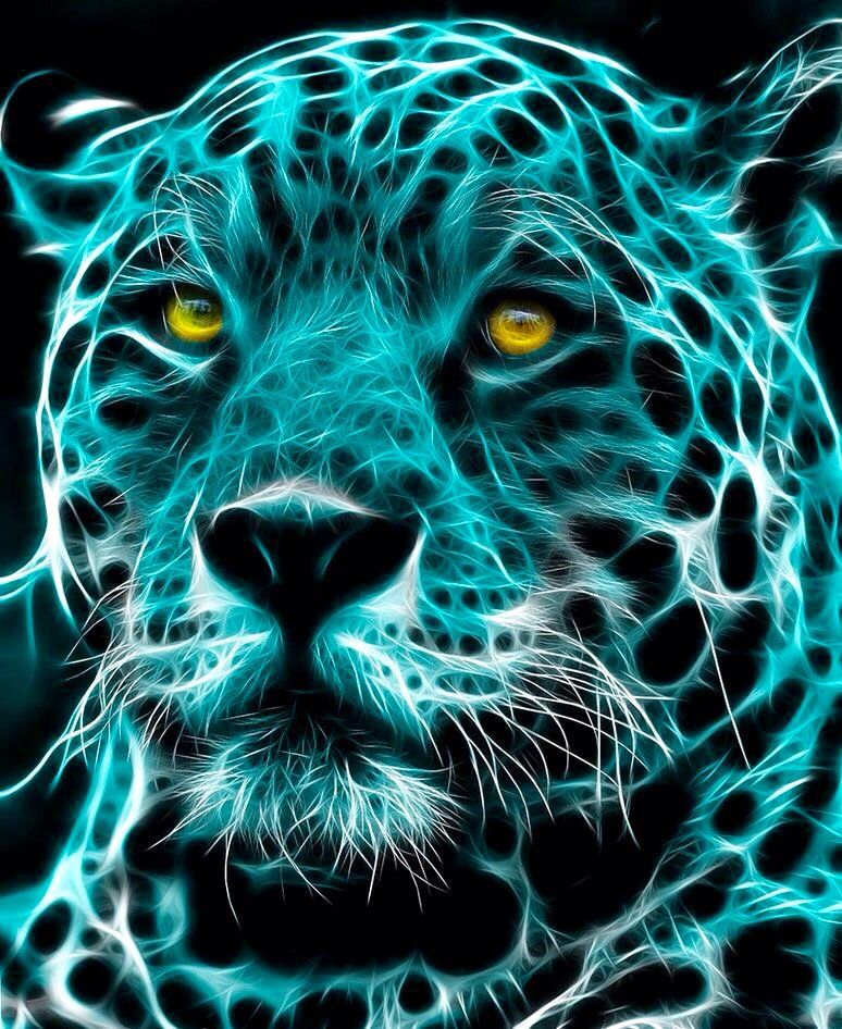 Дунькин Мах Клауд