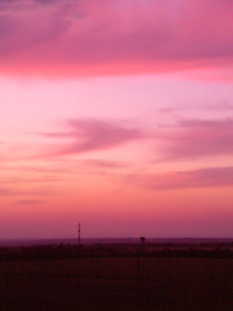 ������ ��������