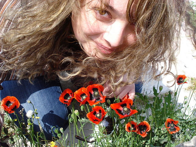 ������ ������