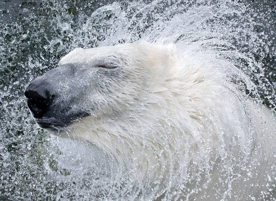 Ирина Василевская 3